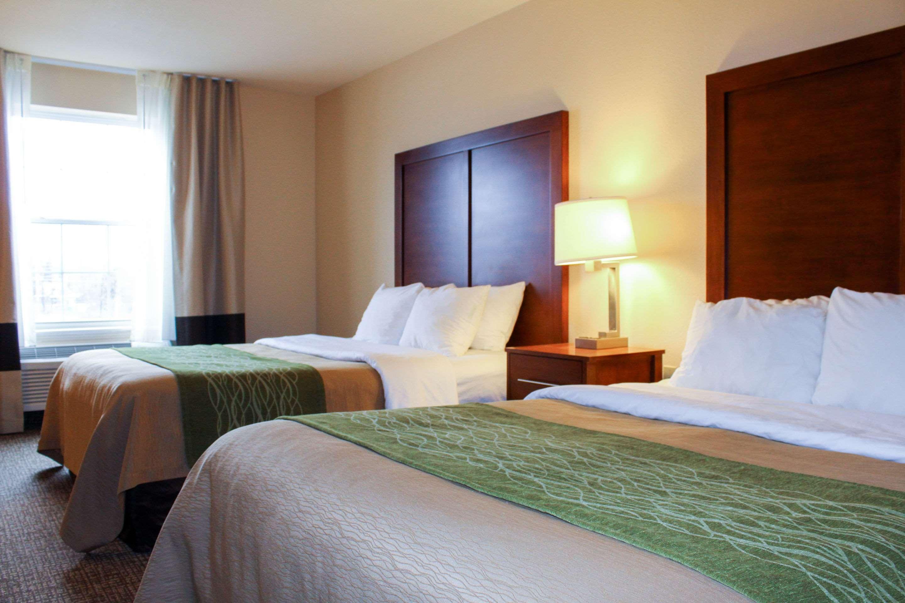 Comfort Inn & Suites St Louis - צ'סטרפילד מראה חיצוני תמונה